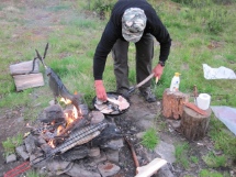 Harria neljll tavalla