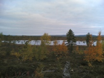 Hanhenmetsstys aluetta Kittilss